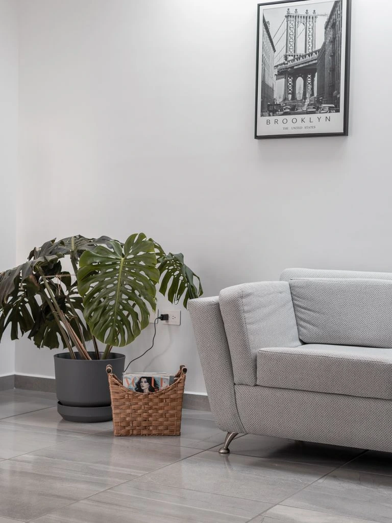 A finished Brooklyn living room makeover by reader Lena Park